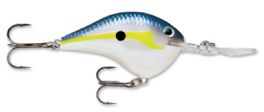 HELSINKI SHAD